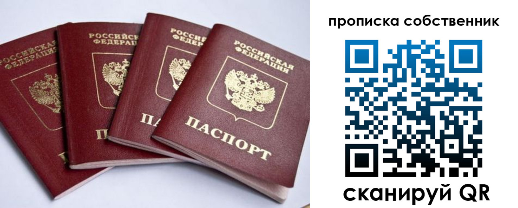 прописка для школы в Амурской области