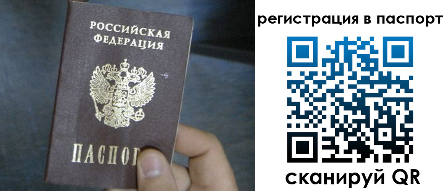 прописка 2025 в Амурской области